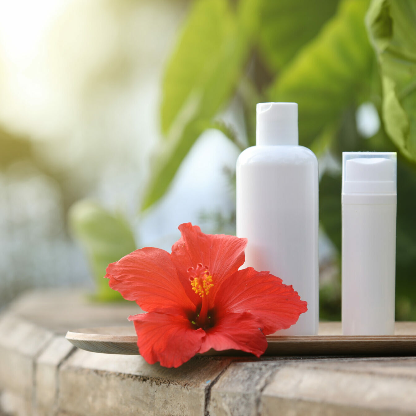 White empty tube of skincare bottle on bamboo plate with red hibiscus over tropical leaves background. Skincare spray tube on blue pool border.